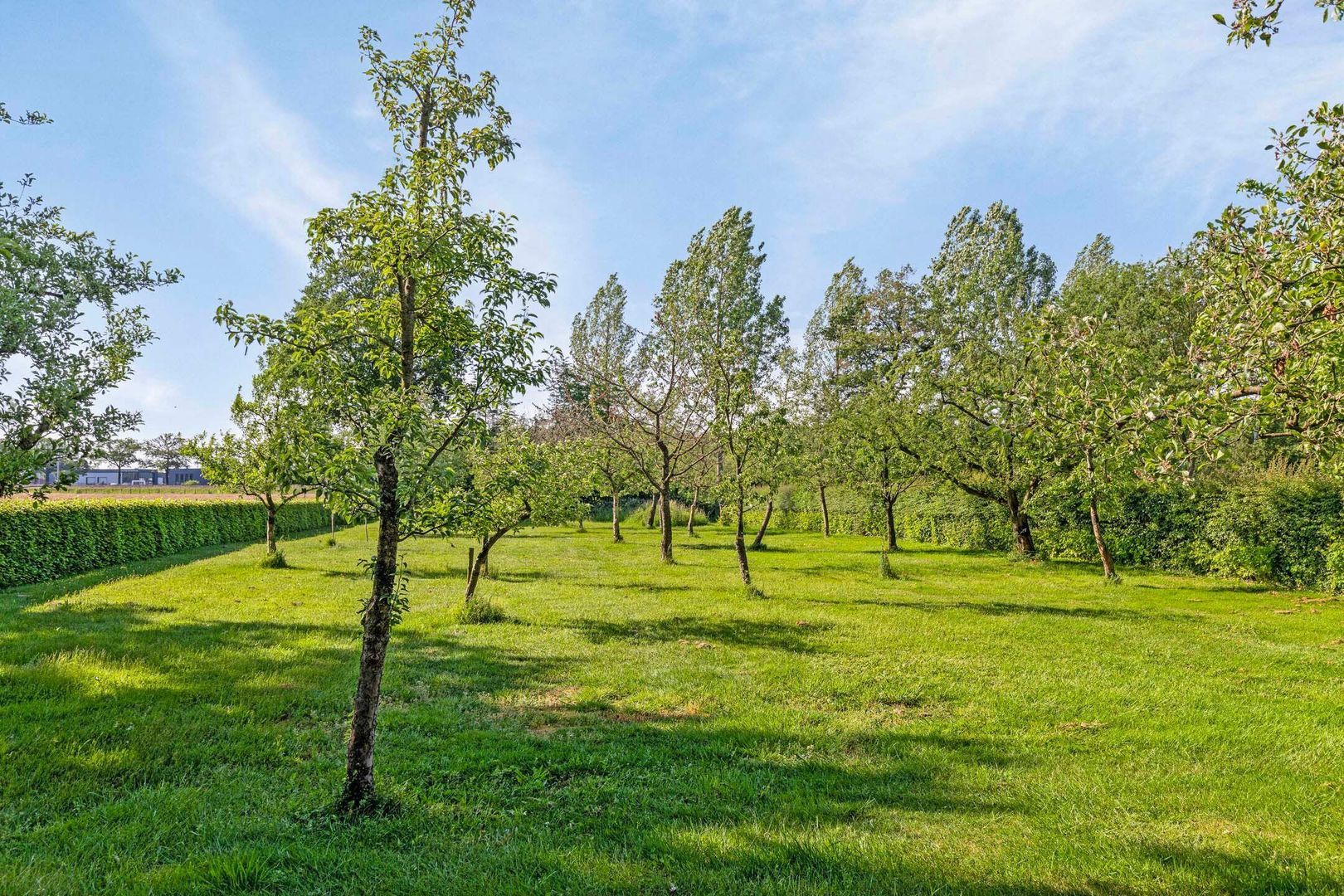 Veenweg 15, Nijverdal foto-50