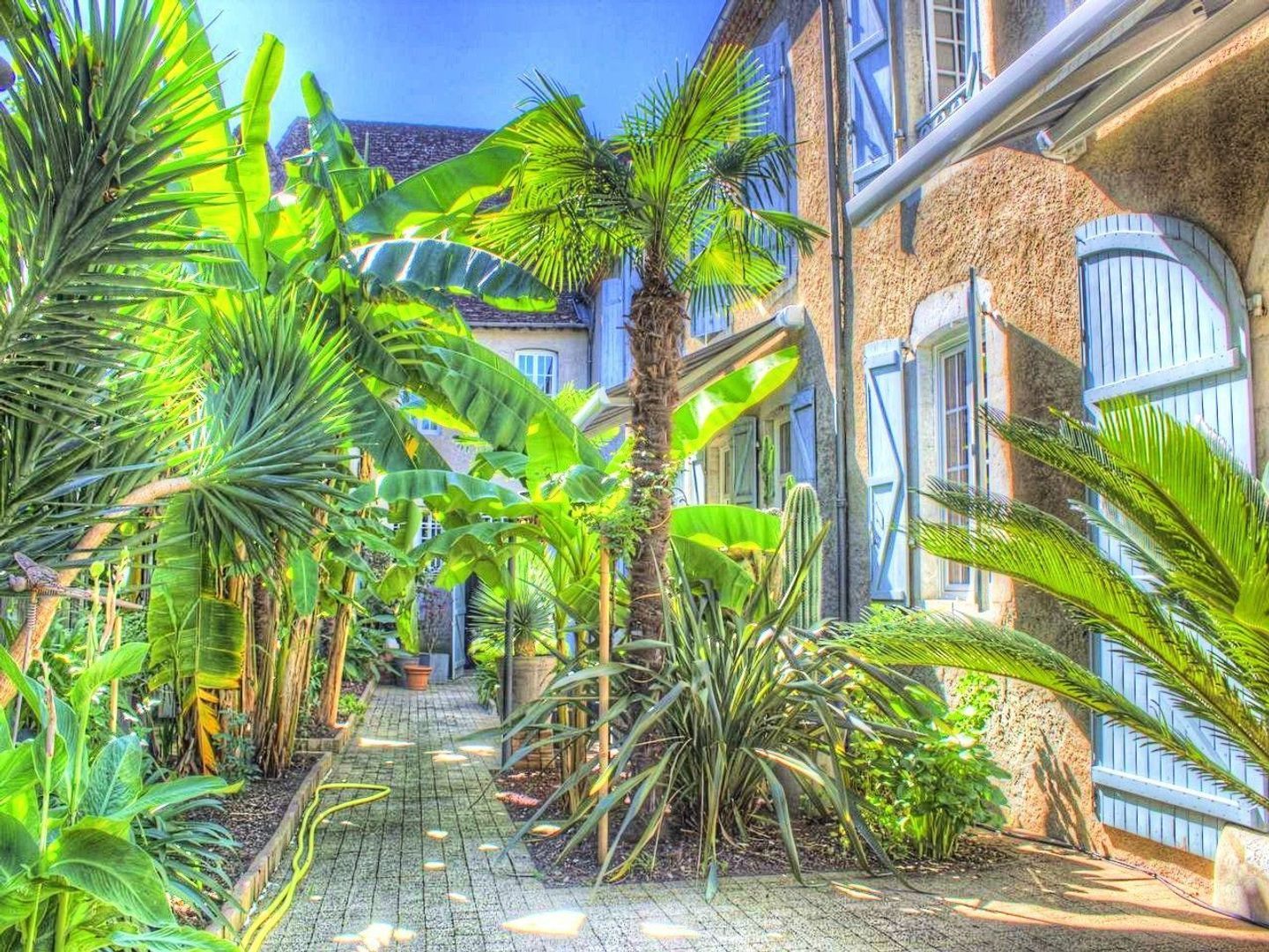 Orthez, Orthez foto-1