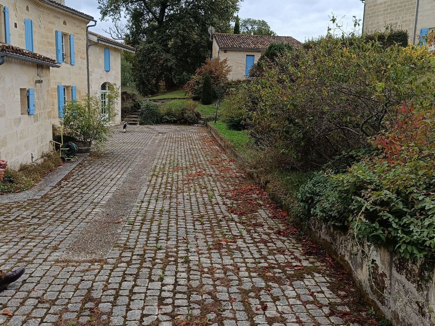 Lussac, Lussac foto-1