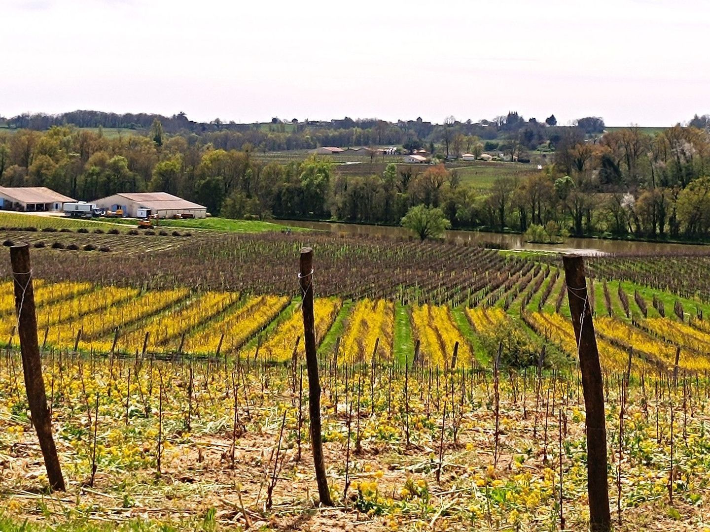 Lussac, Lussac foto-2