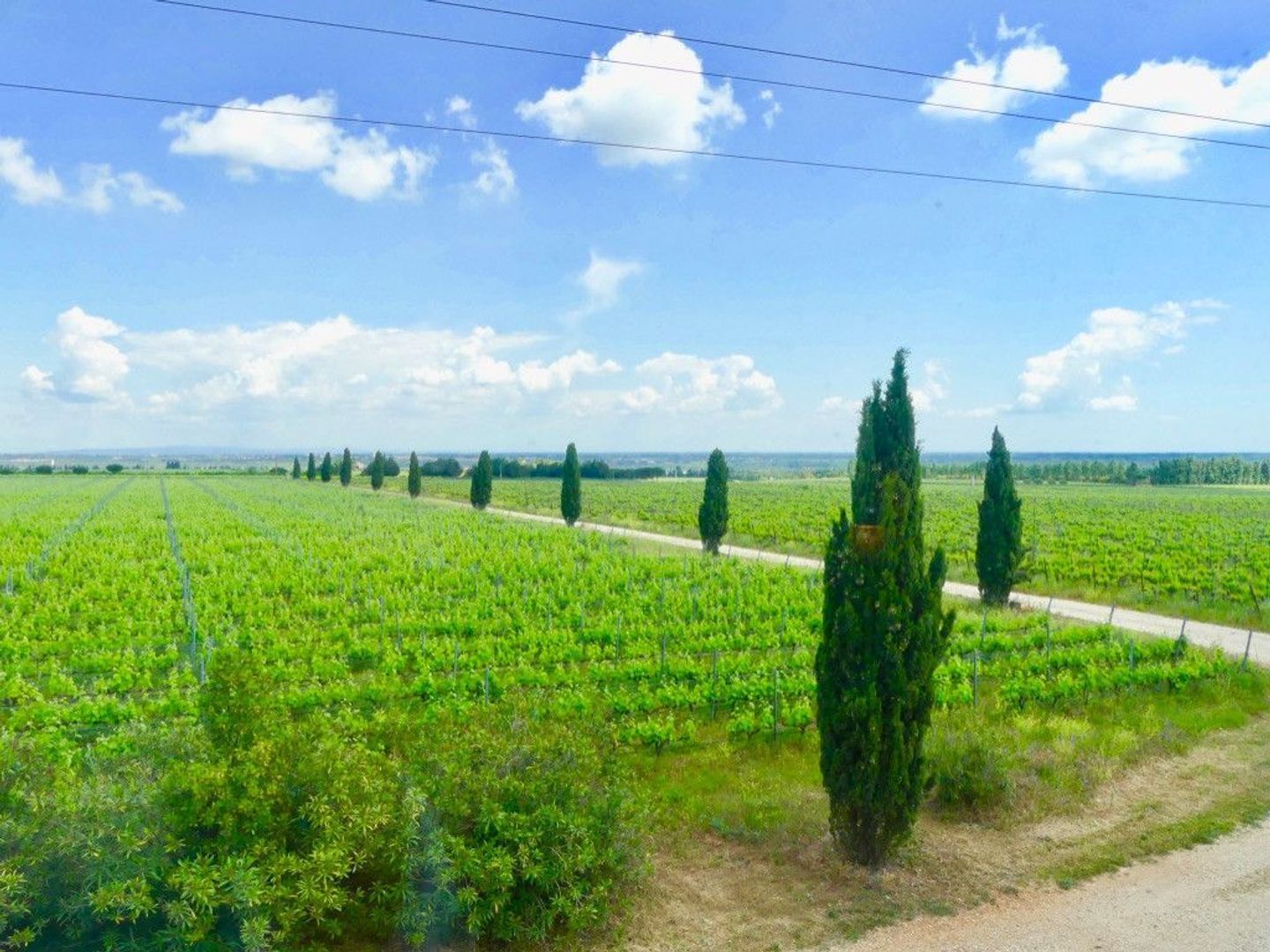 Vauvert, Vauvert foto-2