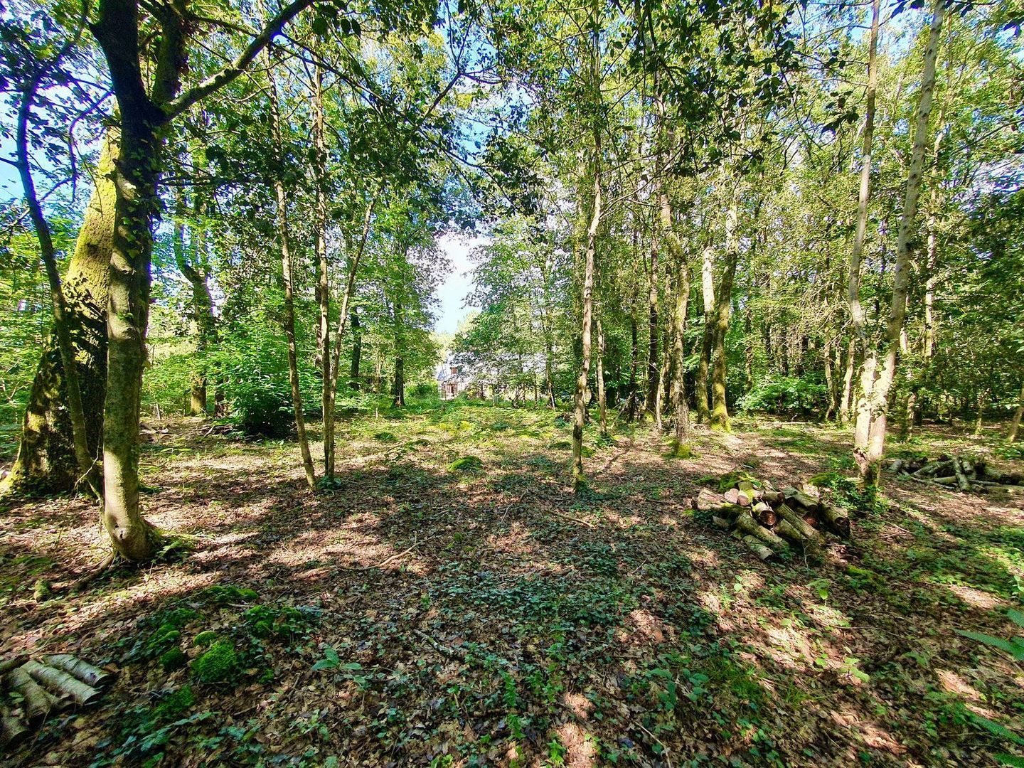 Herbignac, Herbignac foto-5