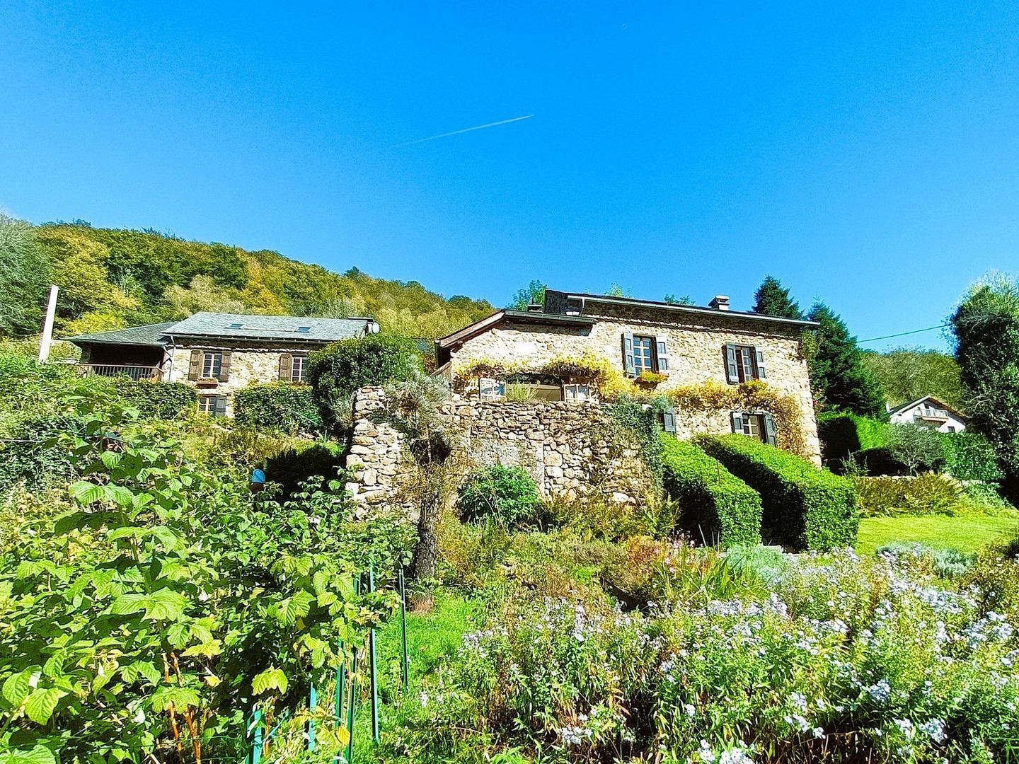 Saurat, Saurat foto-4