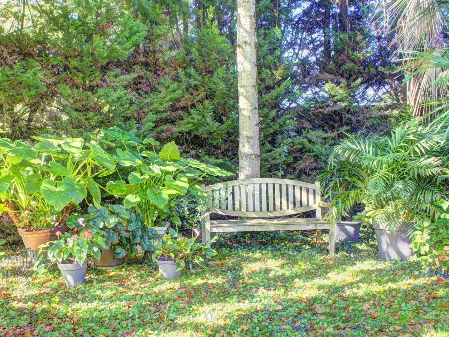 Salies-de-Béarn, Salies-de-Béarn foto-0