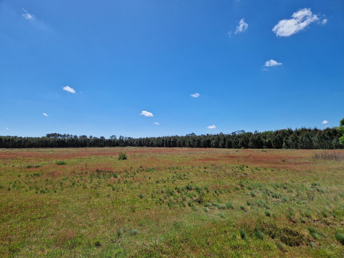 Mont-de-Marsan, Mont-de-Marsan foto-9