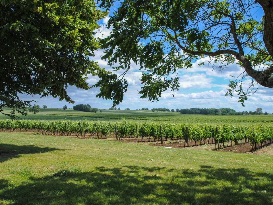 Doulezon, Doulezon foto-3