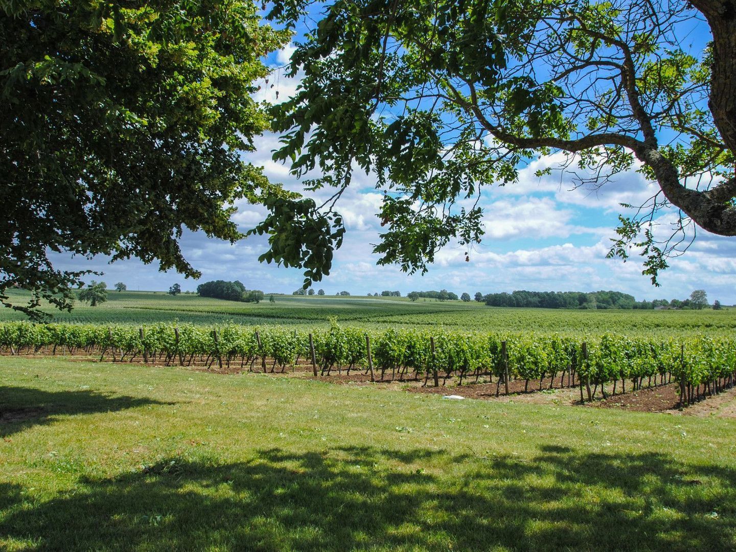 Doulezon, Doulezon foto-2