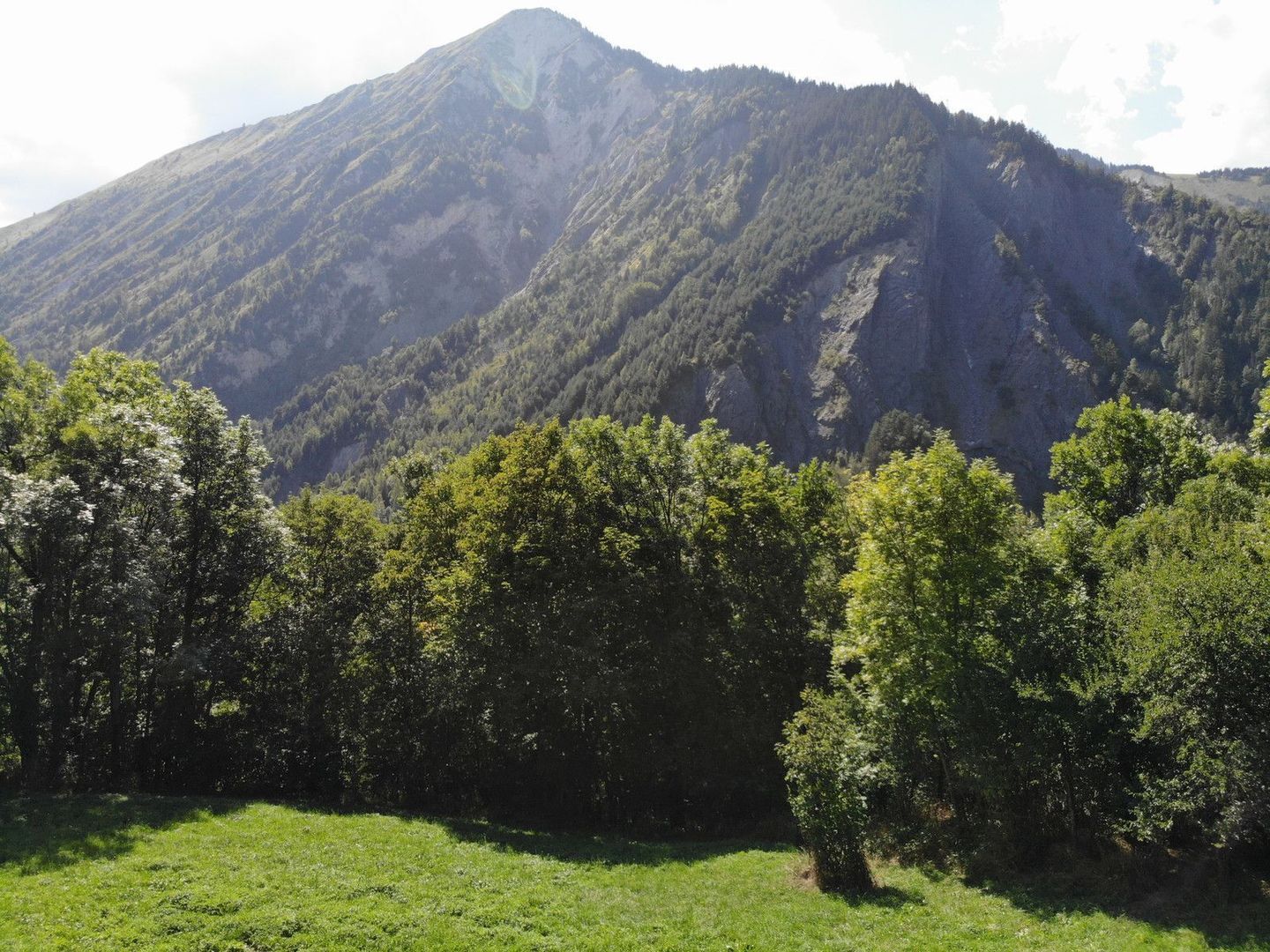 Les Belleville, Les Belleville foto-9