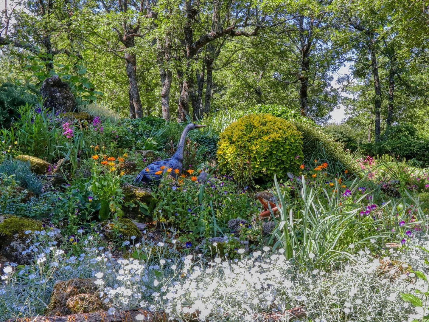 Caseneuve, Caseneuve foto-3