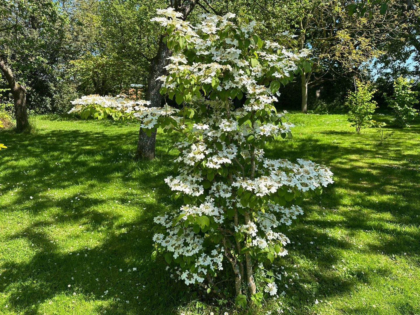 Plestin-les-Grèves, Plestin-les-Grèves foto-3