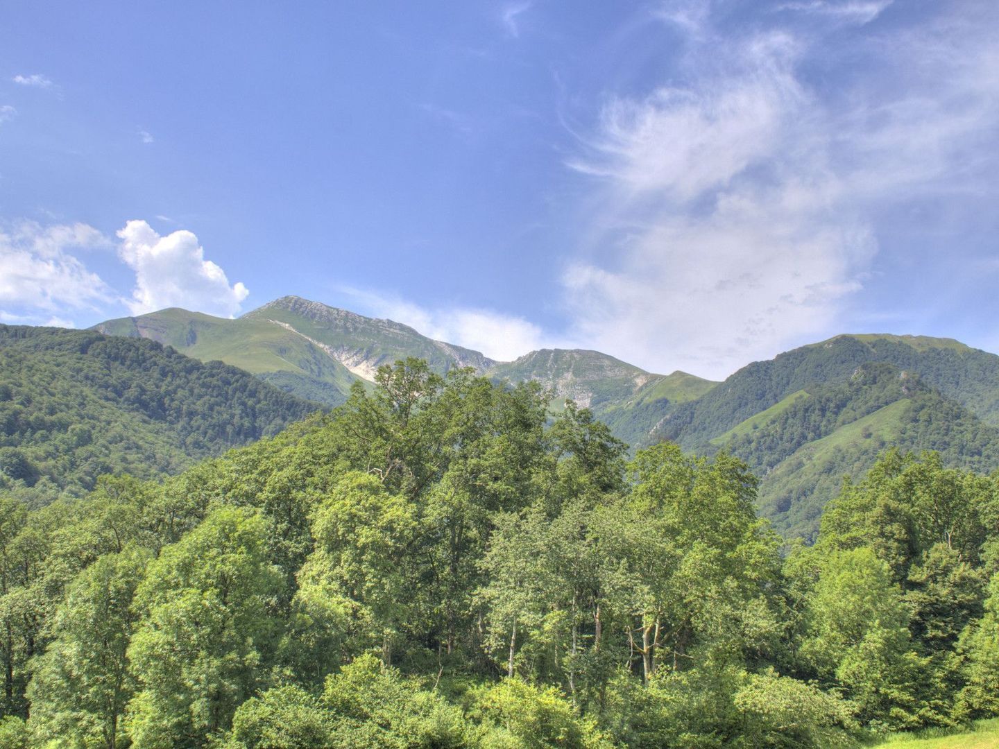 Tardets-Sorholus, Tardets-Sorholus foto-9