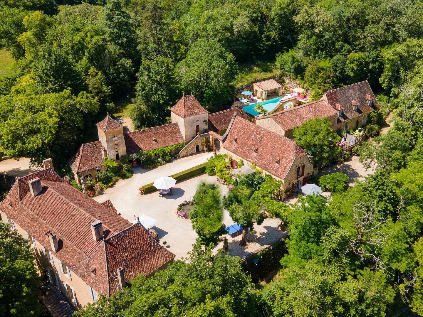 Paunat, Paunat foto-0