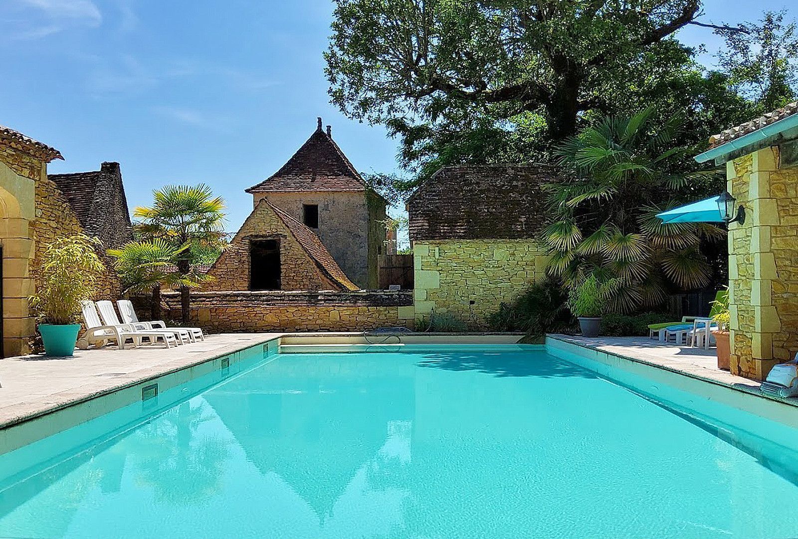 Paunat, Paunat foto-1