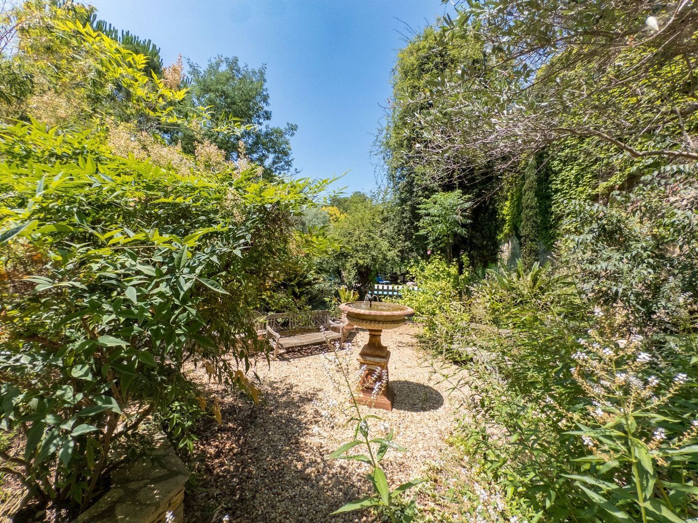 Adissan, Adissan foto-2