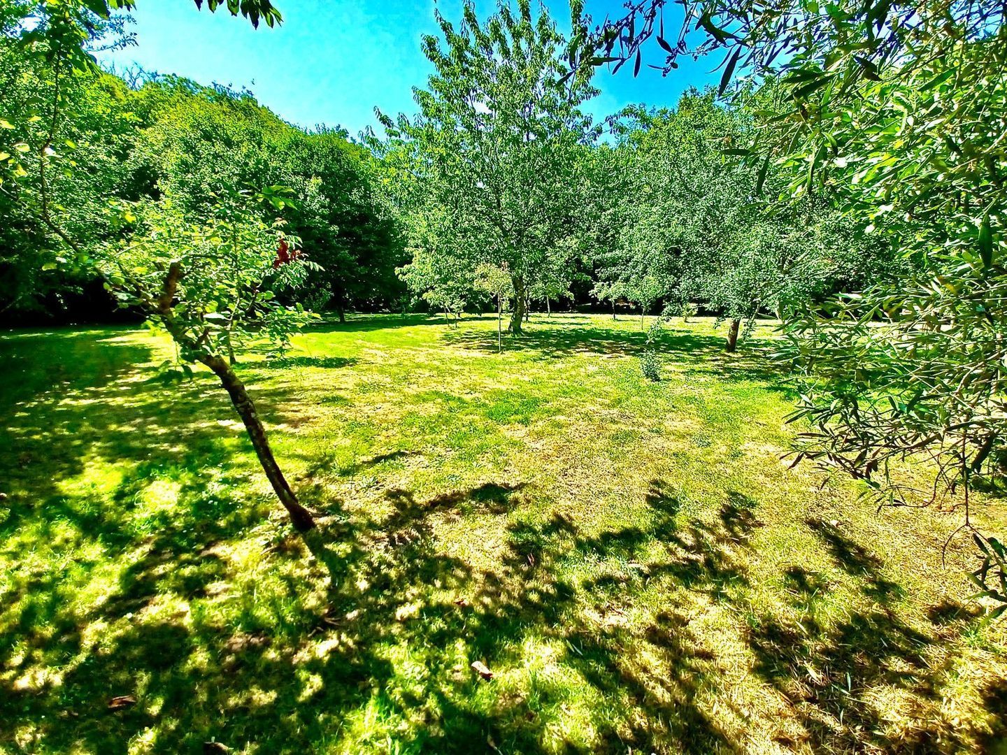 Saint-André-des-Eaux, Saint-André-des-Eaux foto-9