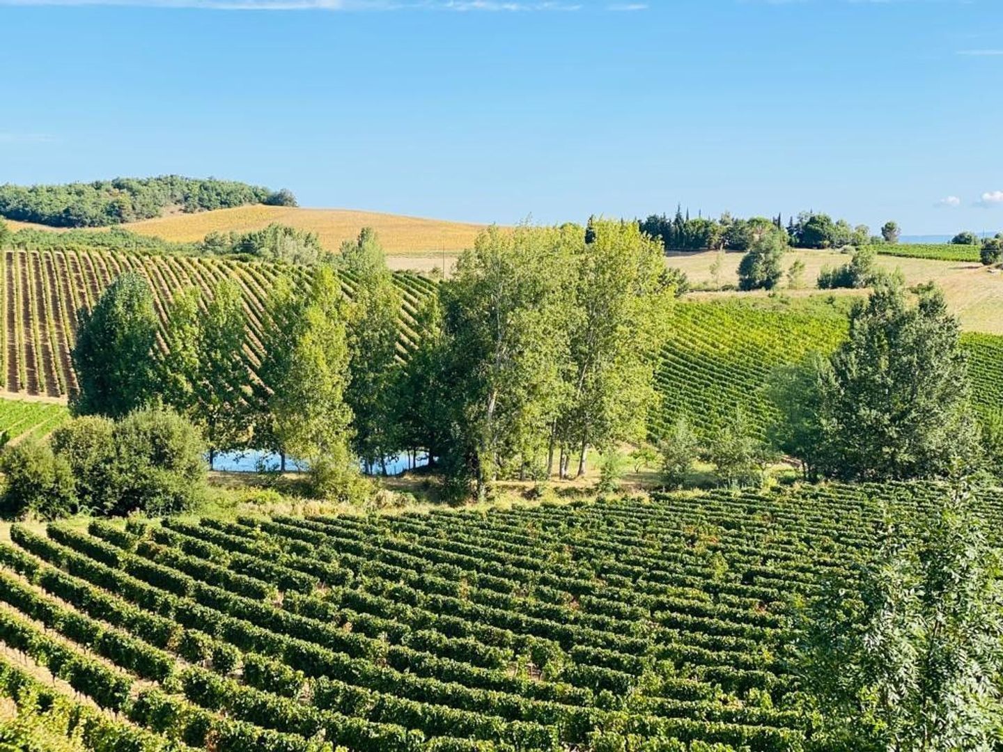 Alaigne, Alaigne foto-9