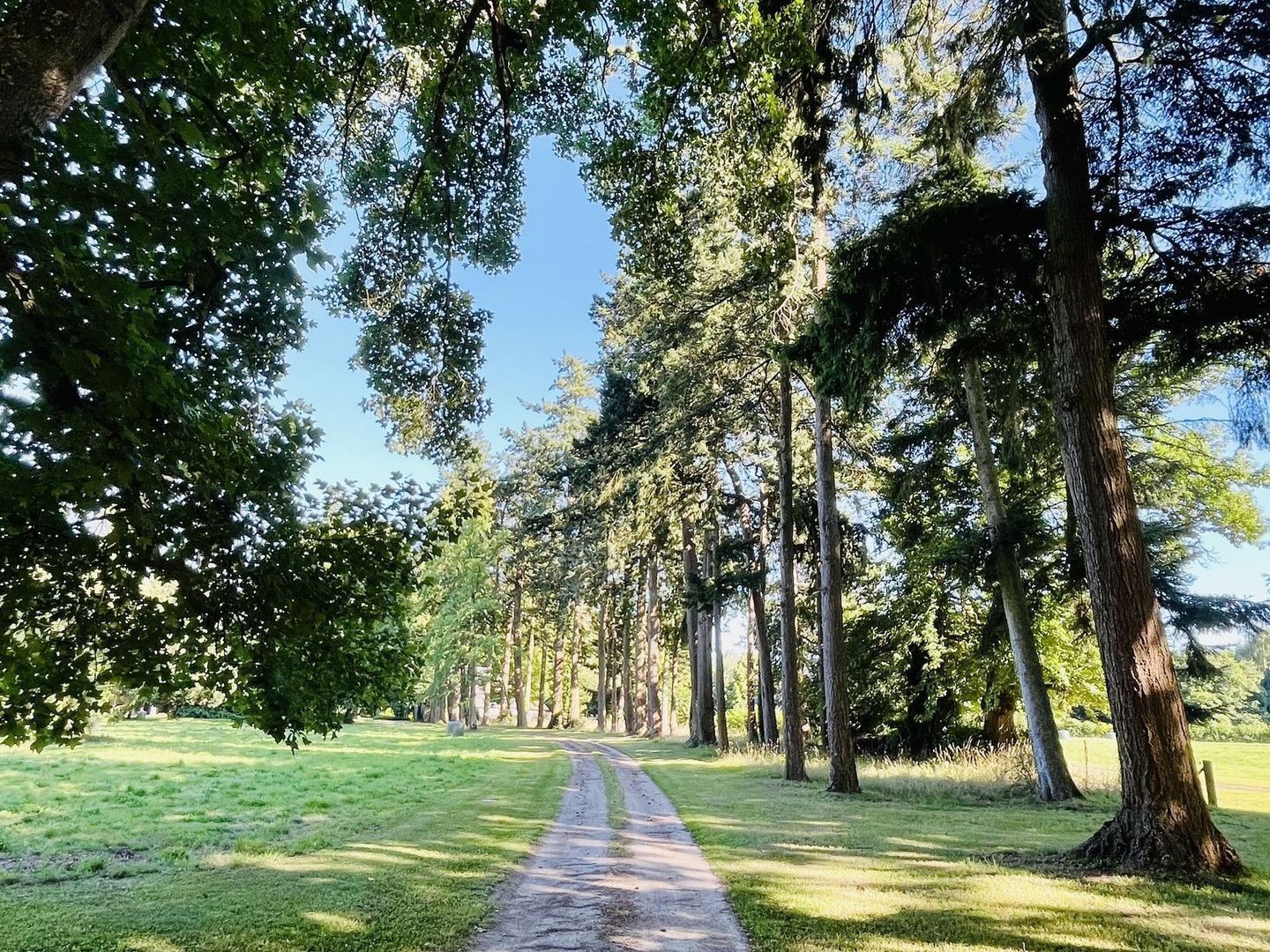 Lisieux, Lisieux foto-2