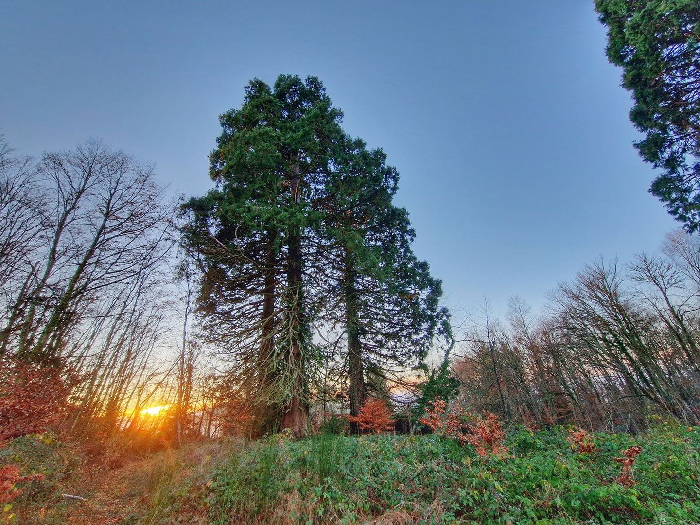 Vallière, Vallière foto-9