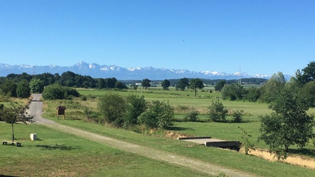 Mingot, Mingot foto-3