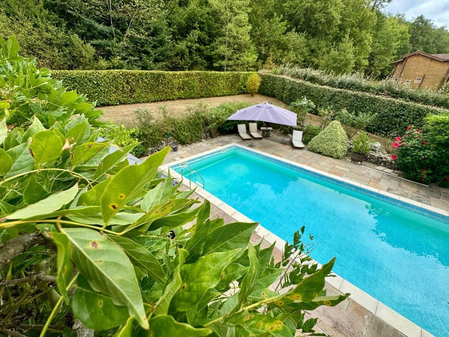 Mingot, Mingot foto-5