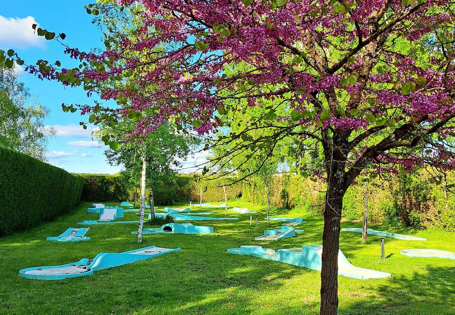 Trogues, Trogues foto-5