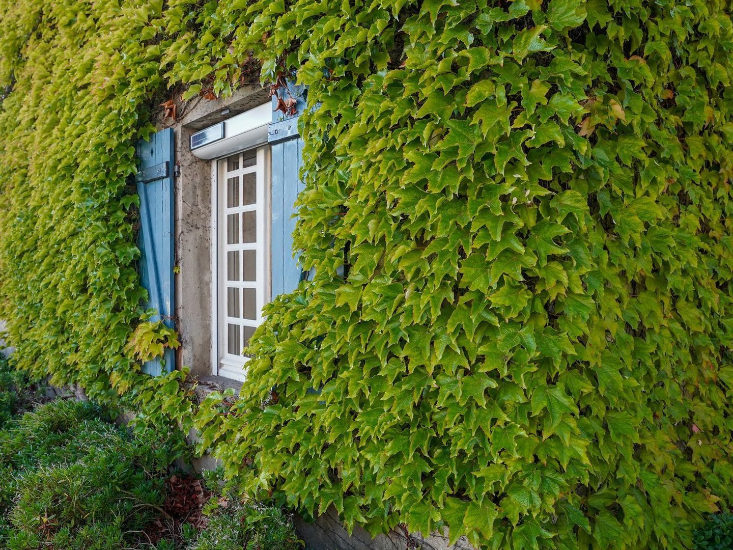 Saint-Malo, Saint-Malo foto-8