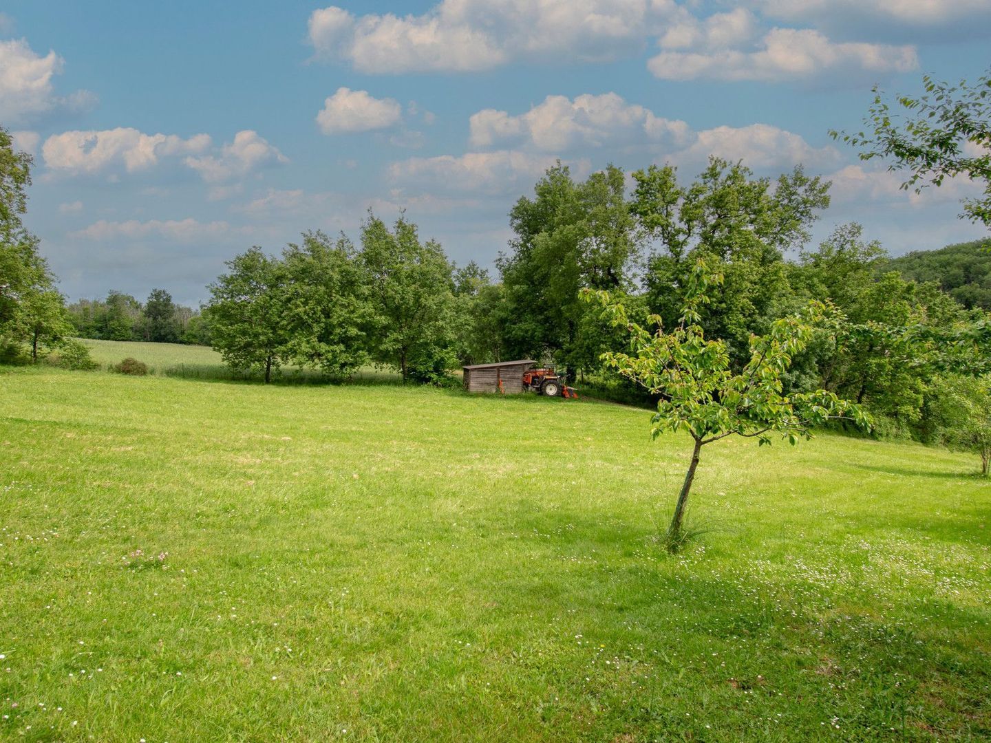 Briatexte, Briatexte foto-9