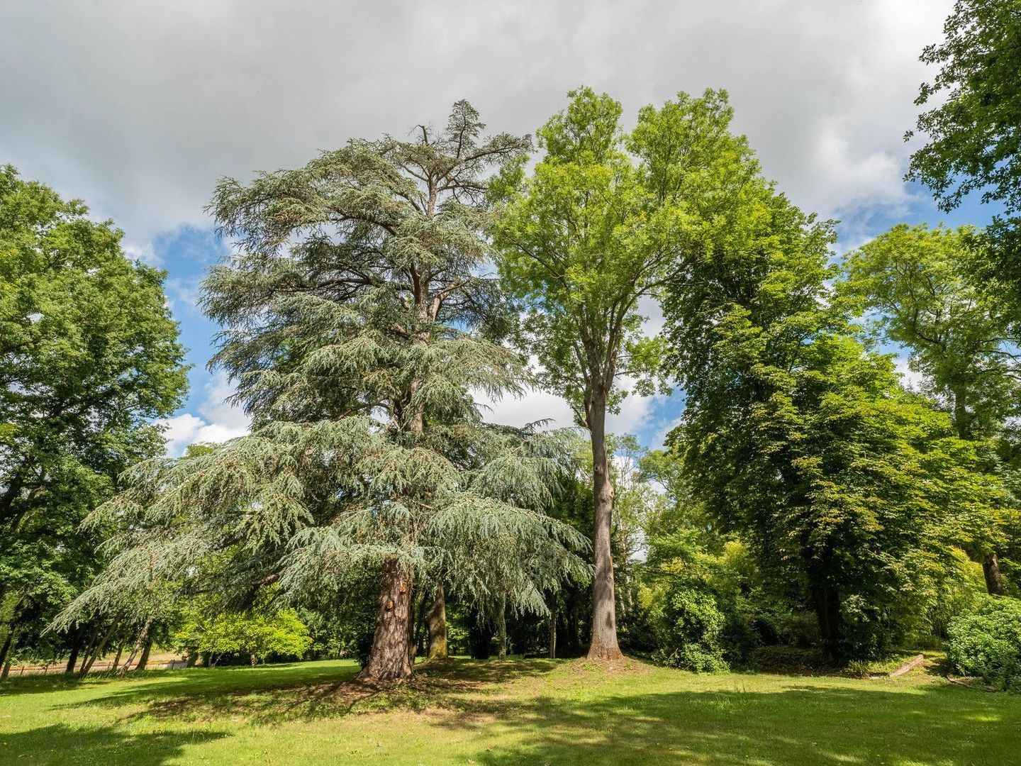 Coulommiers, Coulommiers foto-8