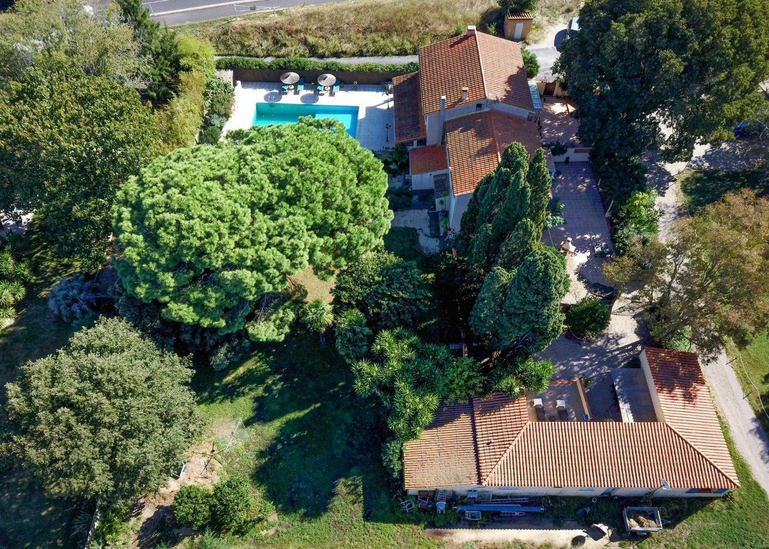 Perpignan, Perpignan foto-1