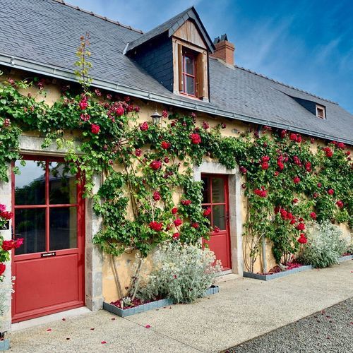 Saint-Pierre-sur-Erve, Saint-Pierre-sur-Erve foto-1