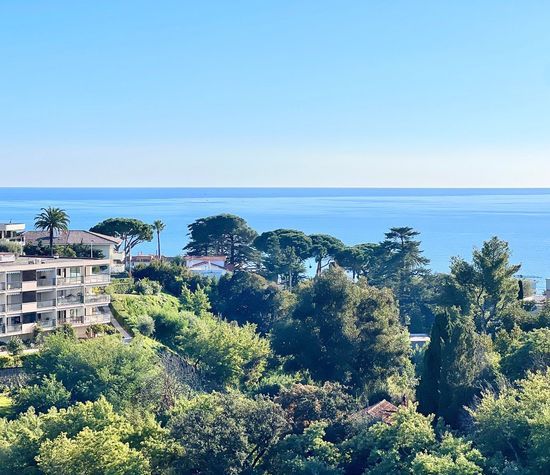 Cannes, Cannes