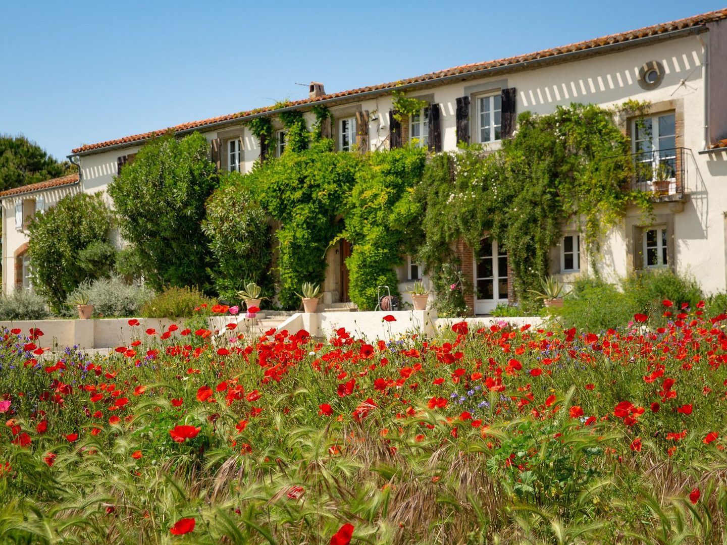 Montréal, Montréal foto-0