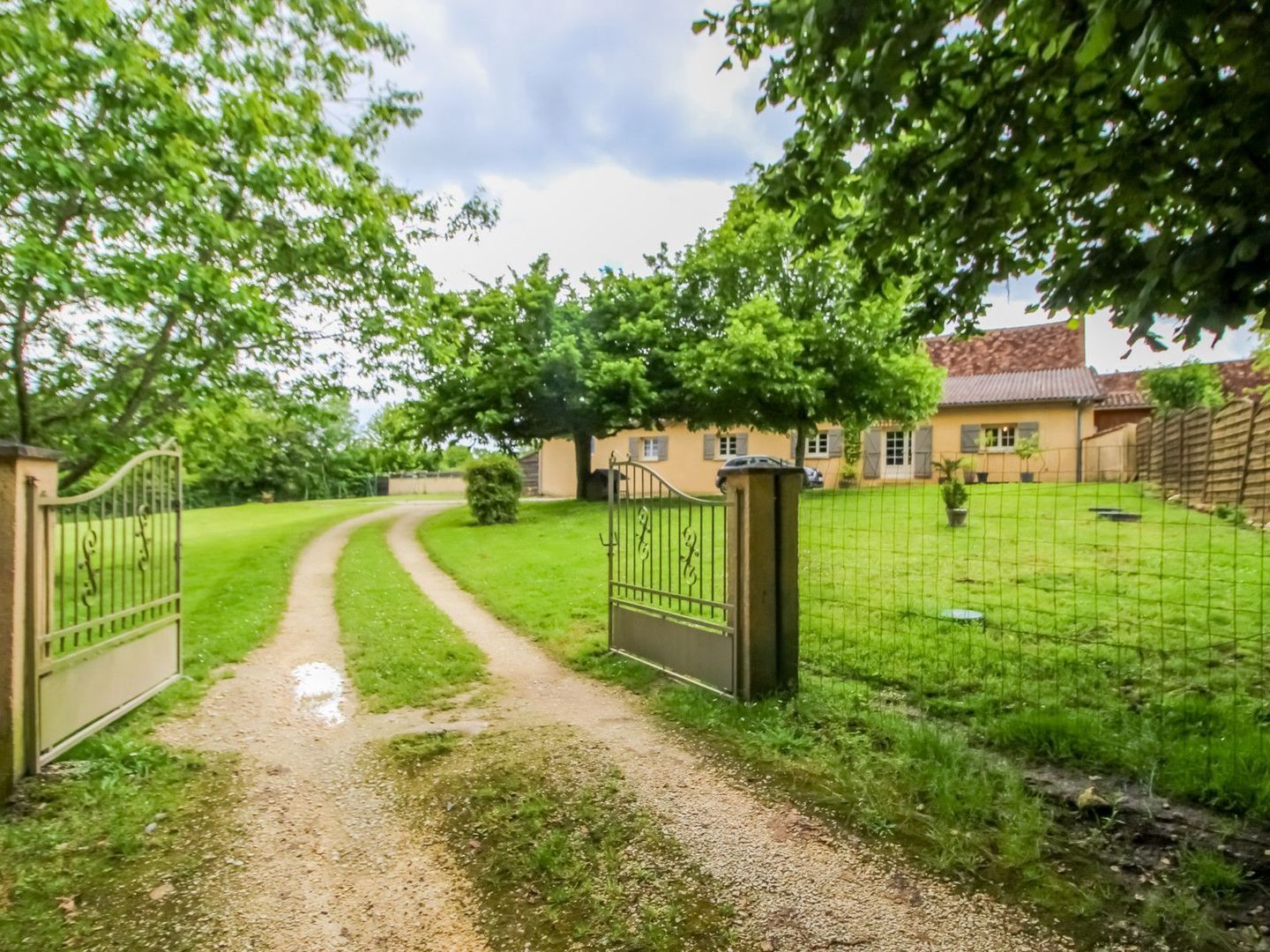 Campsegret, Campsegret foto-7