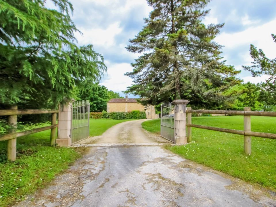 Campsegret, Campsegret foto-3