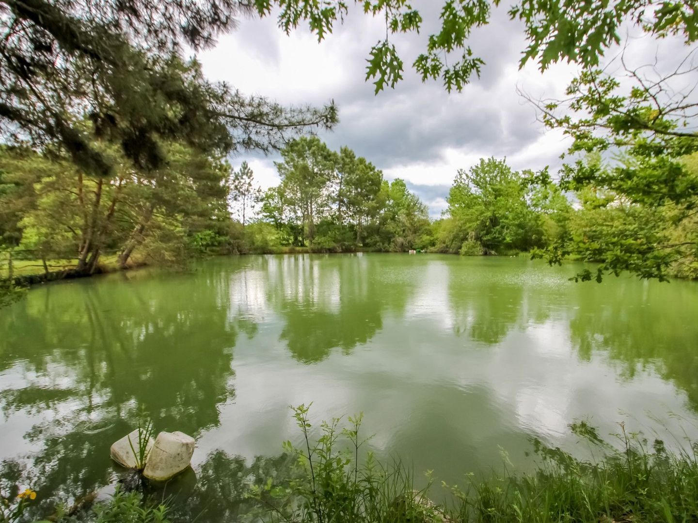 Campsegret, Campsegret foto-9