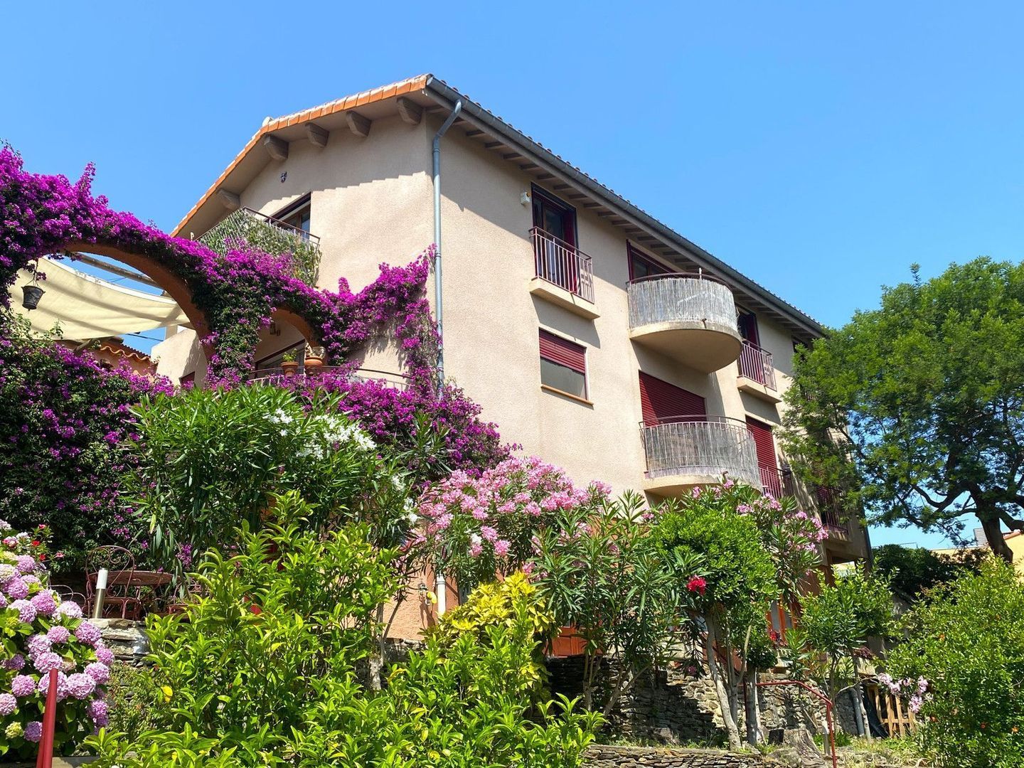 Collioure, Collioure foto-0