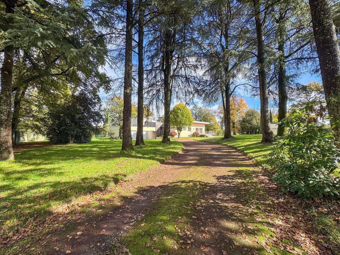 Beaulieu-sous-Parthenay, Beaulieu-sous-Parthenay foto-8
