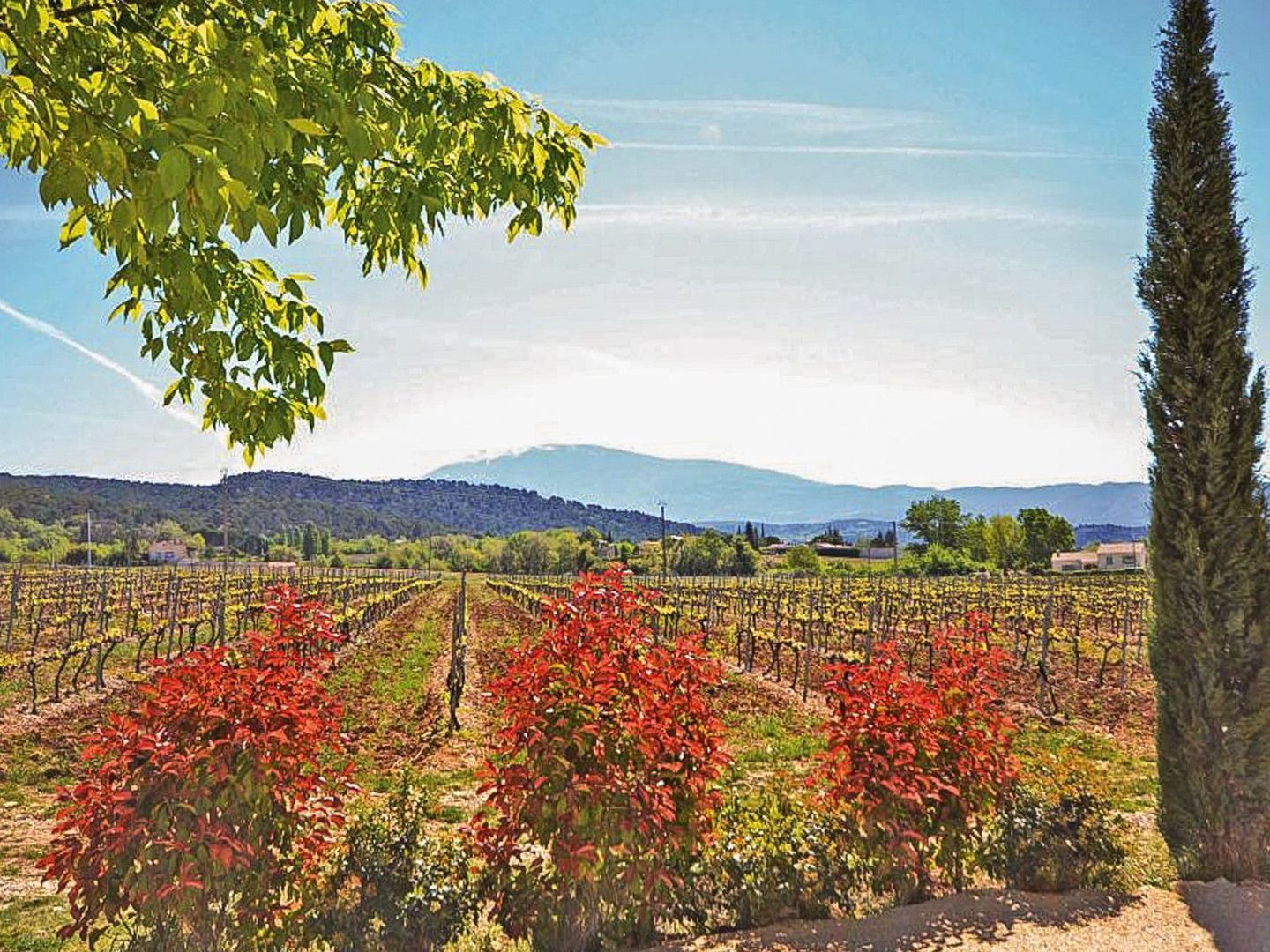 Saint-Marcellin-lès-Vaison, Saint-Marcellin-lès-Vaison foto-1