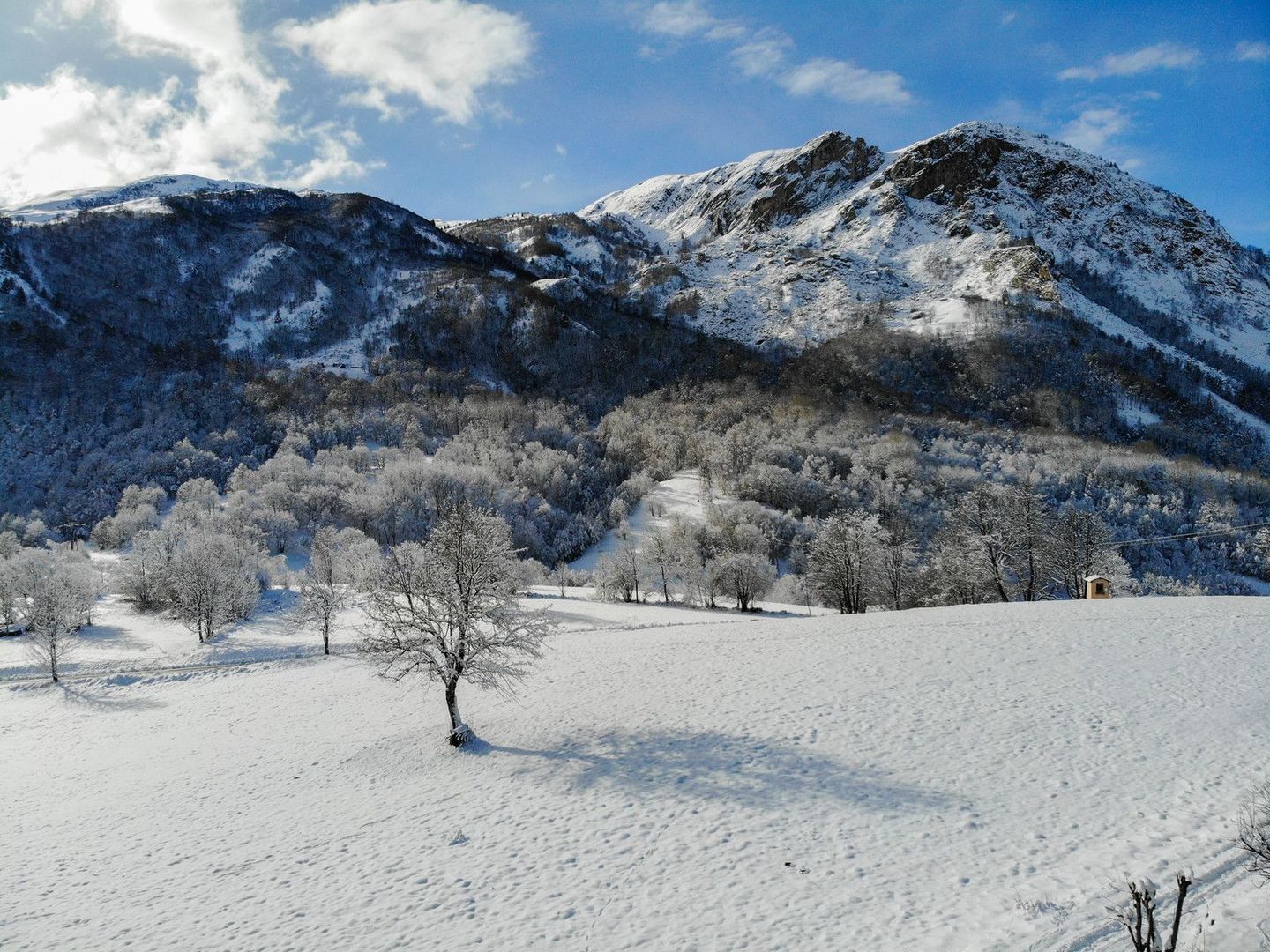 Les Belleville, Les Belleville foto-2