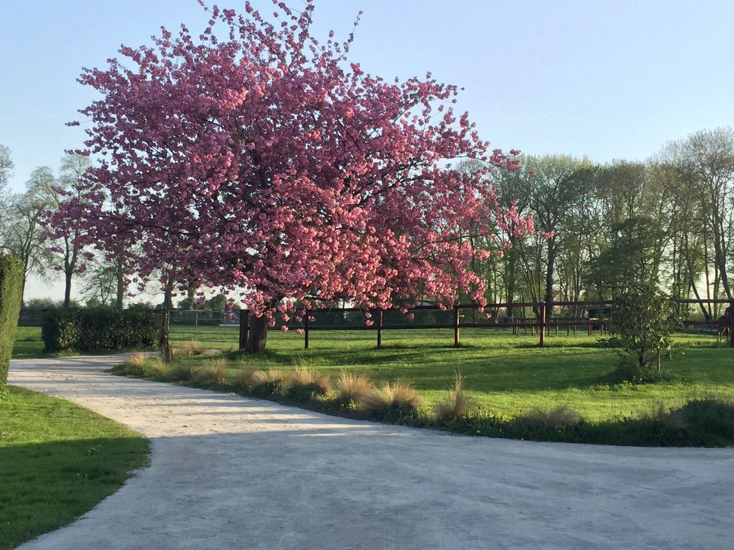 Argentan, Argentan foto-6