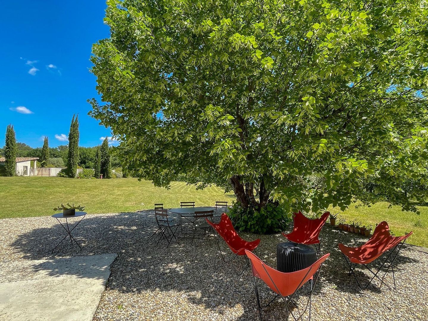 Vaison-la-Romaine, Vaison-la-Romaine foto-5