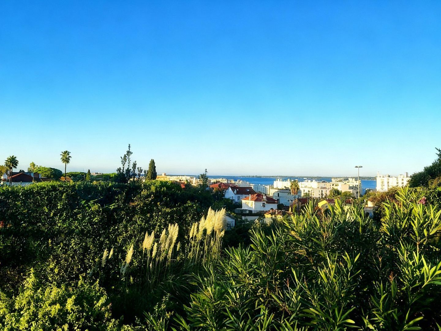 5 Avenue De Diane, Antibes foto-8