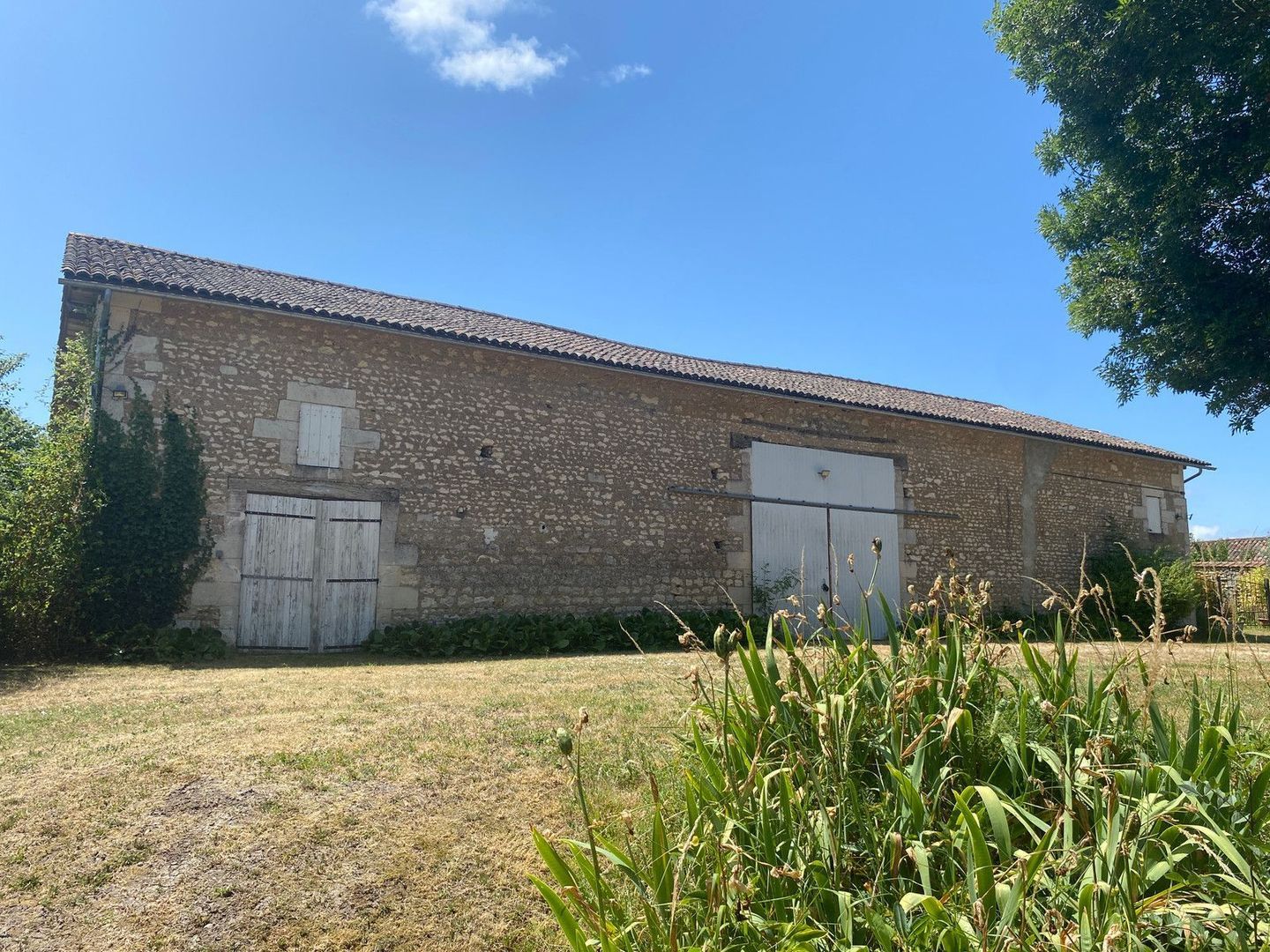 Saint-Thomas-de-Conac, Saint-Thomas-de-Conac foto-4