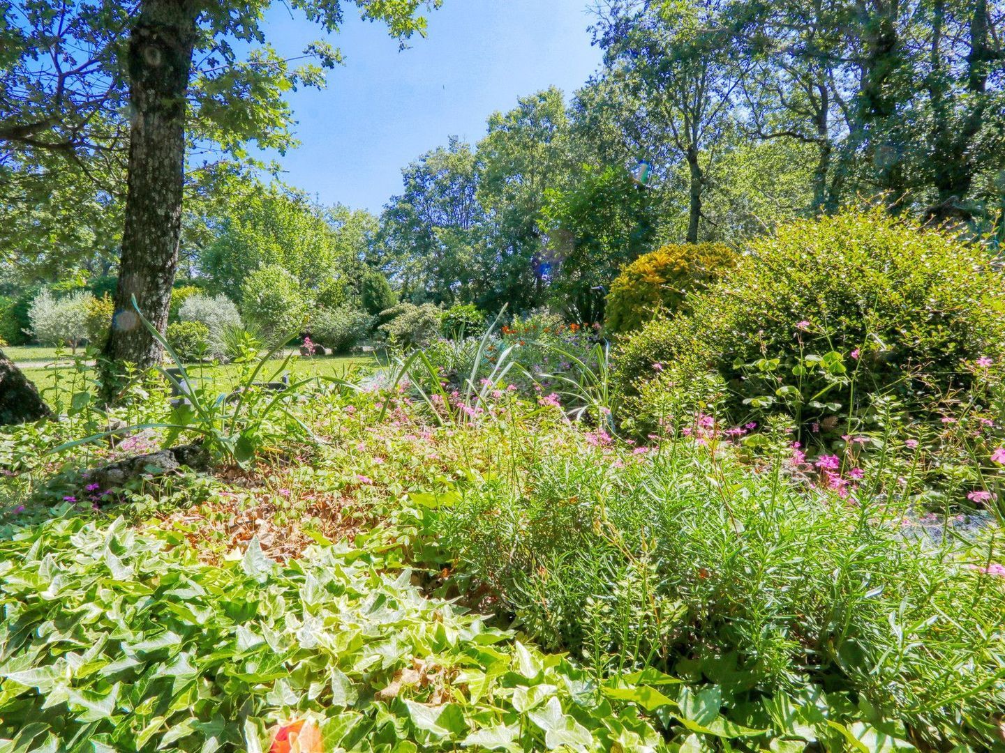 Caseneuve, Caseneuve foto-9