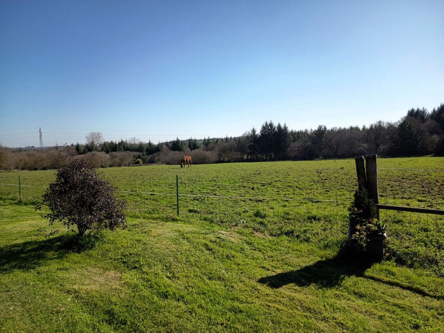 Scaër, Scaër foto-8