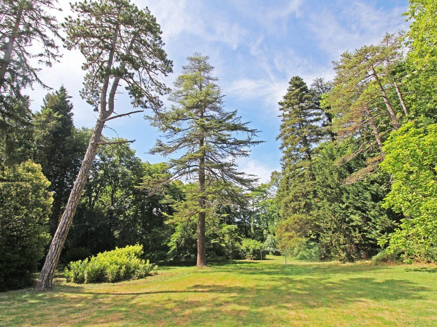 Mirepoix, Mirepoix foto-4