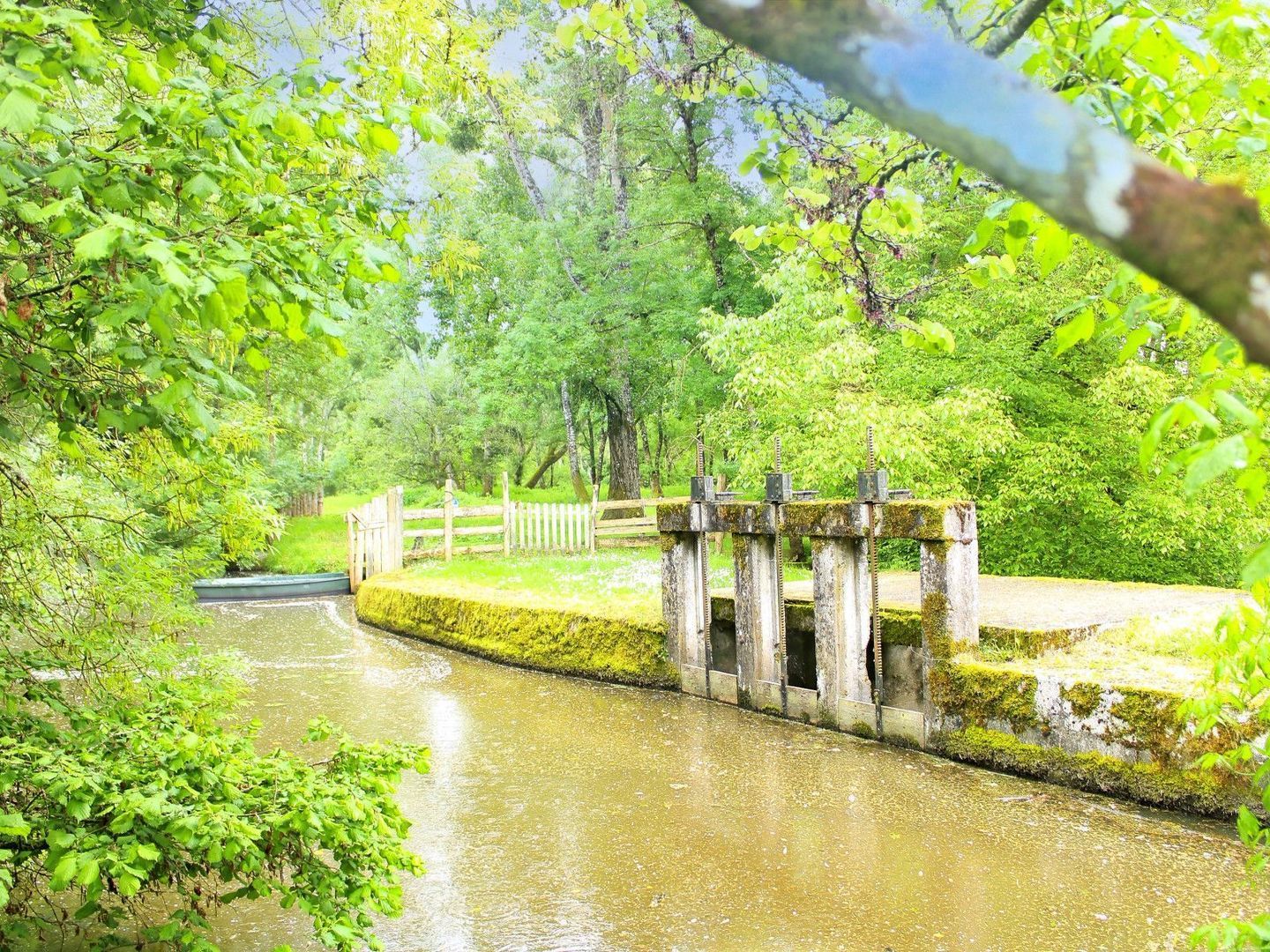 Cour-Cheverny, Cour-Cheverny foto-5
