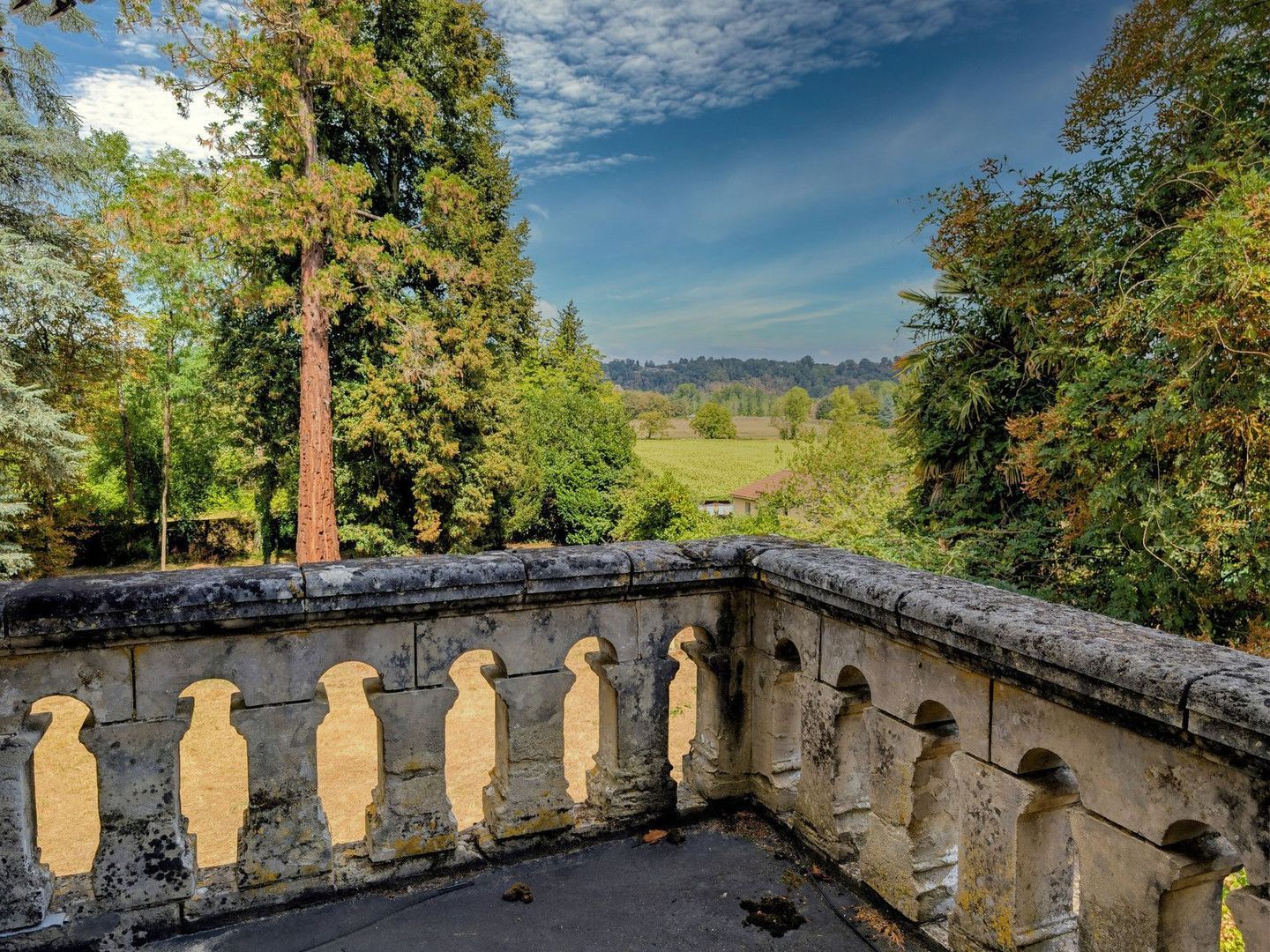 Le Buisson-de-Cadouin, Le Buisson-de-Cadouin foto-2