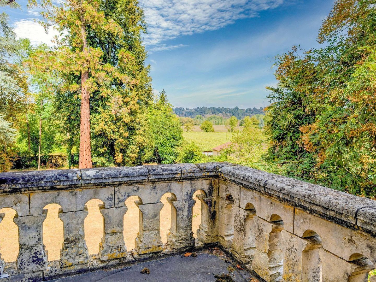 Le Buisson-de-Cadouin, Le Buisson-de-Cadouin foto-2