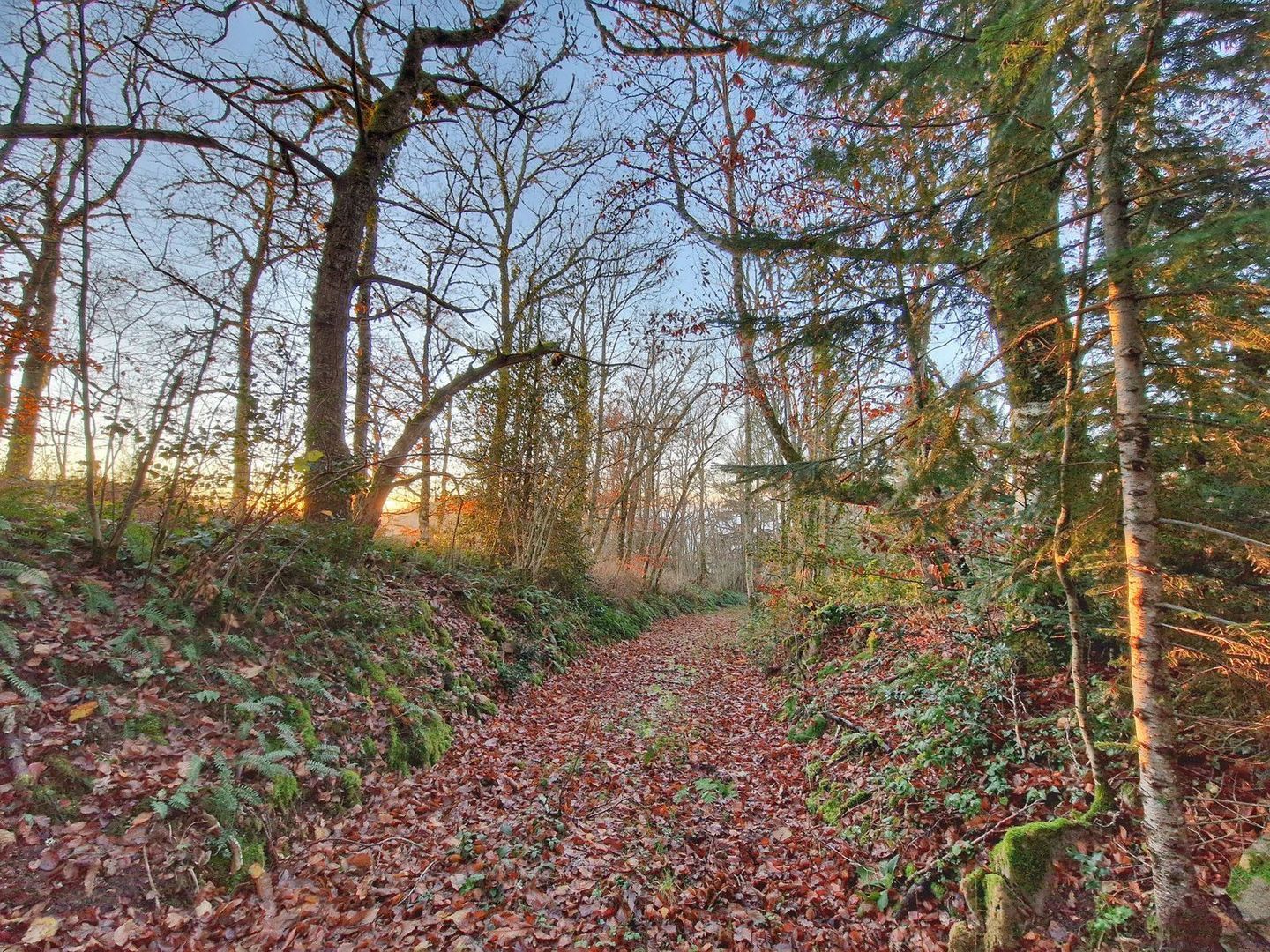 Vallière, Vallière foto-8